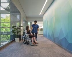 Evergreen Family Medical Center Interior Hallway with Wallcovering
